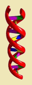 genome